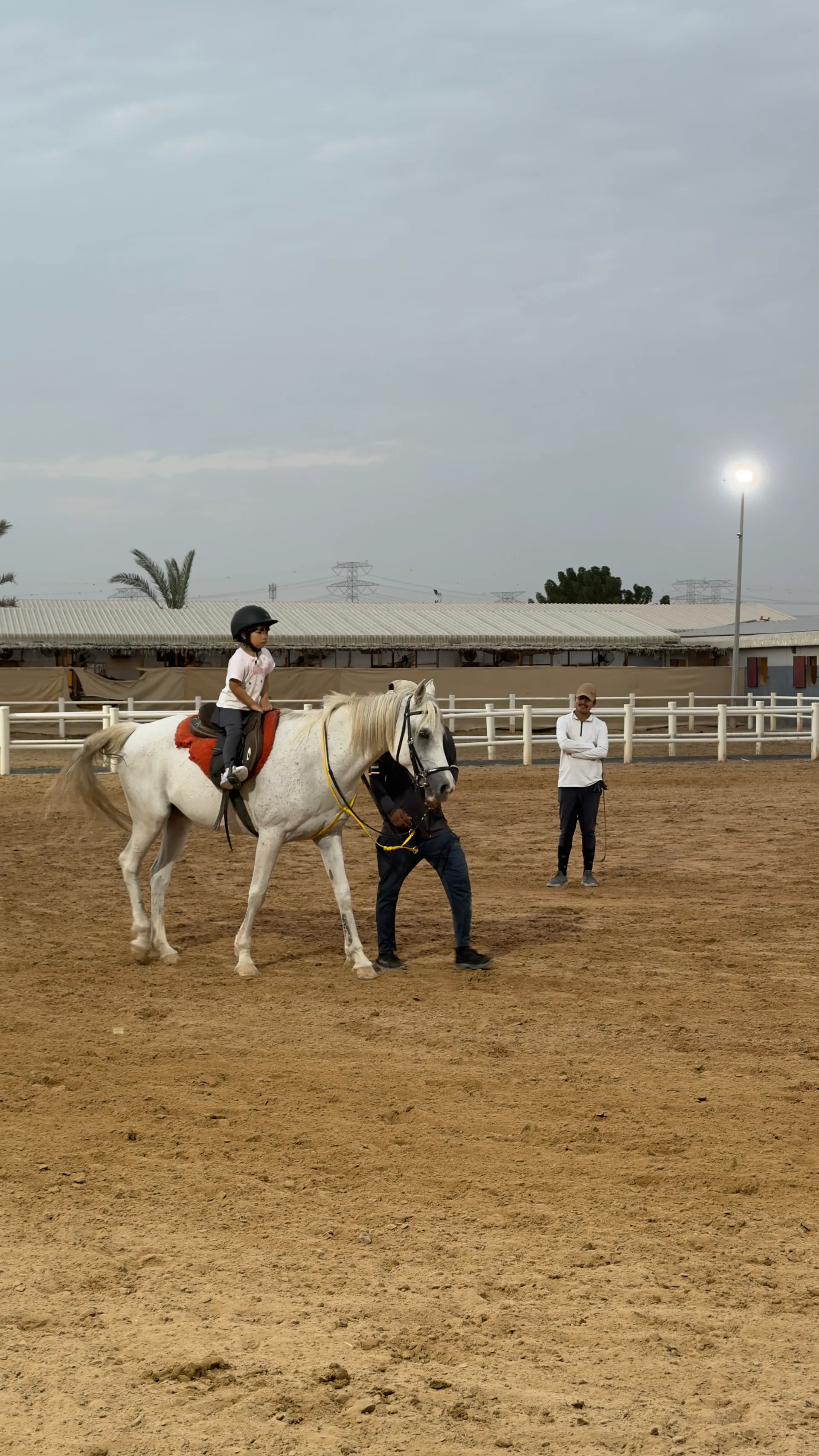 Arena horse and rider