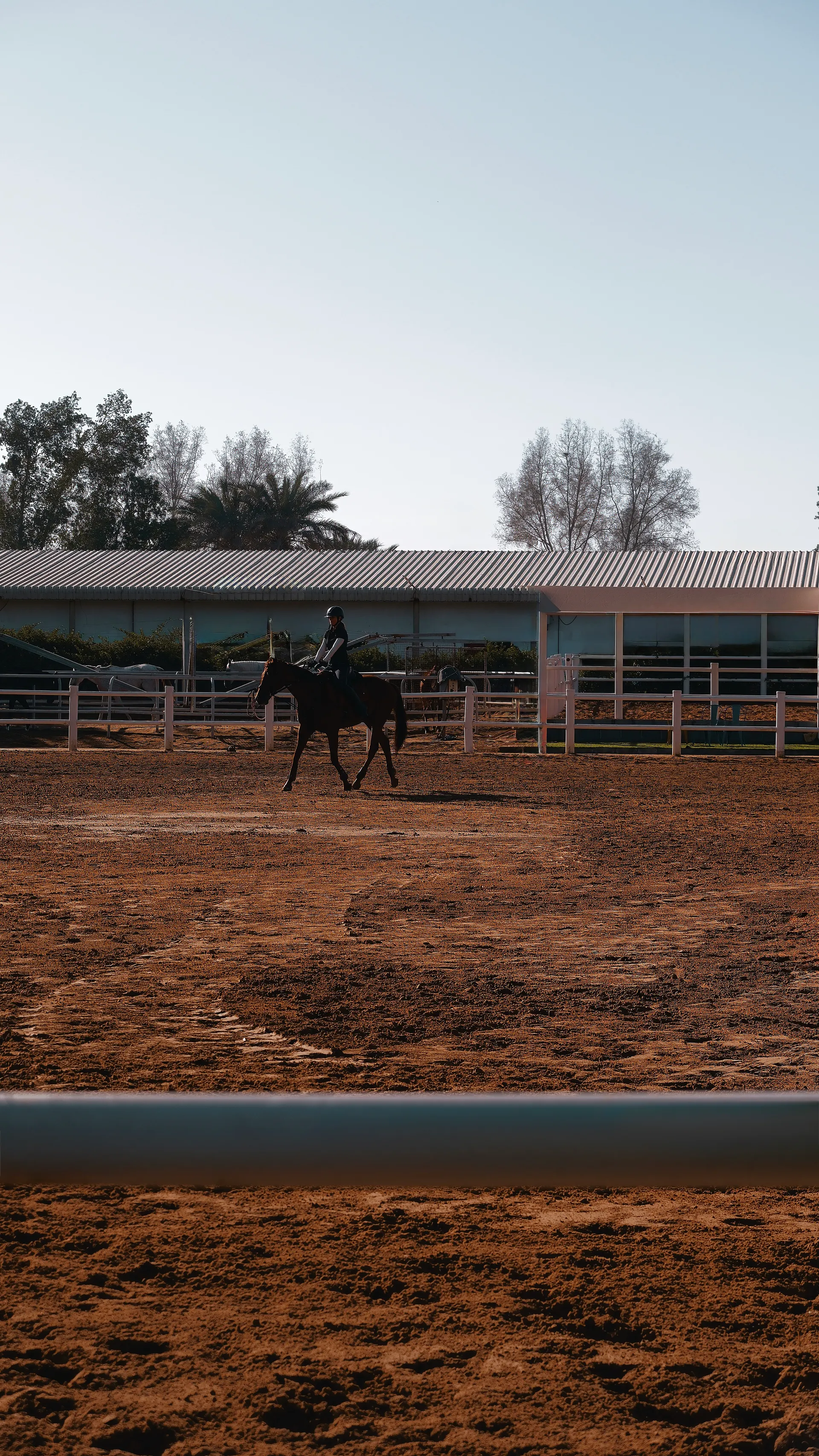 Arena training at JSR