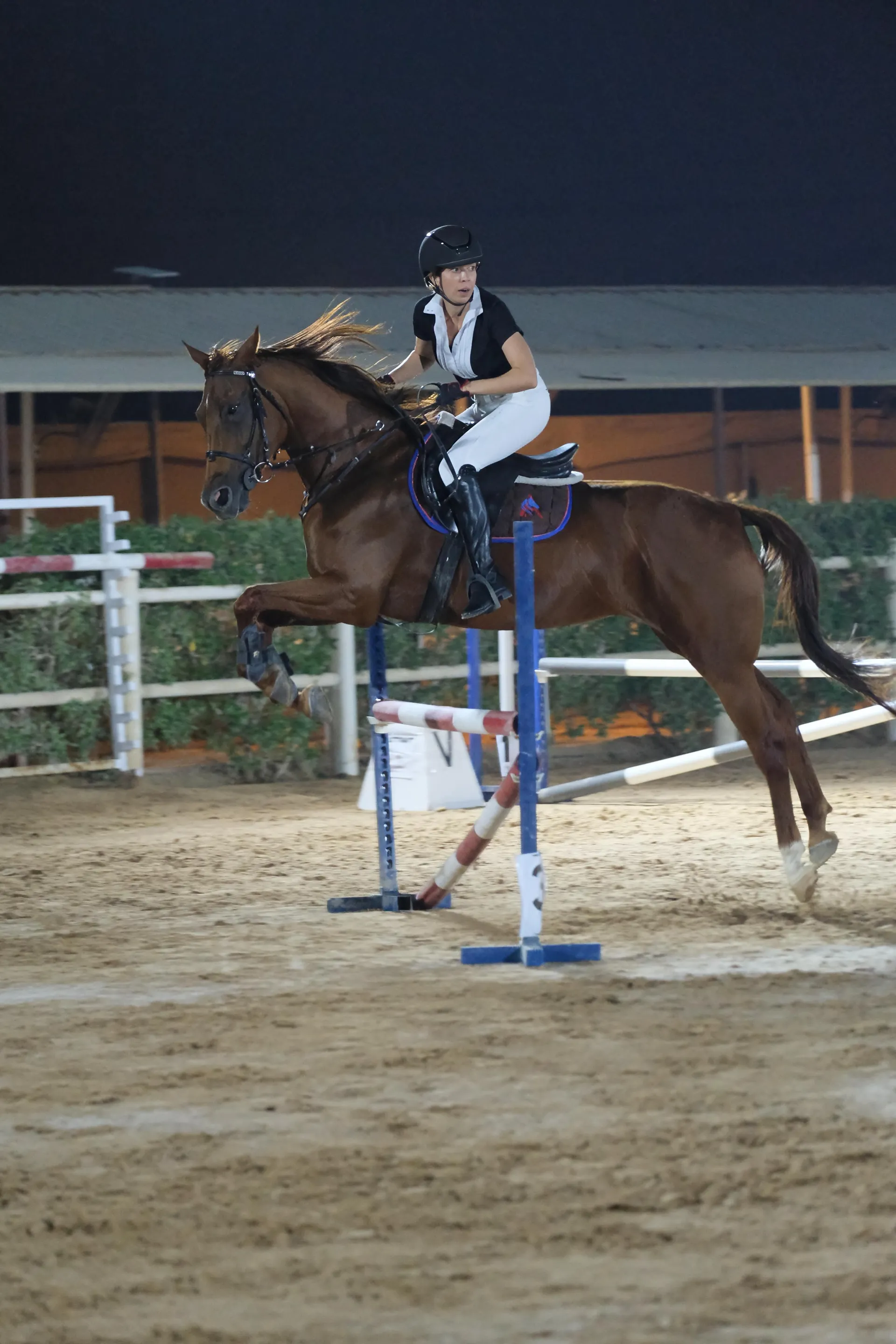Show jumping in the floodlit arena