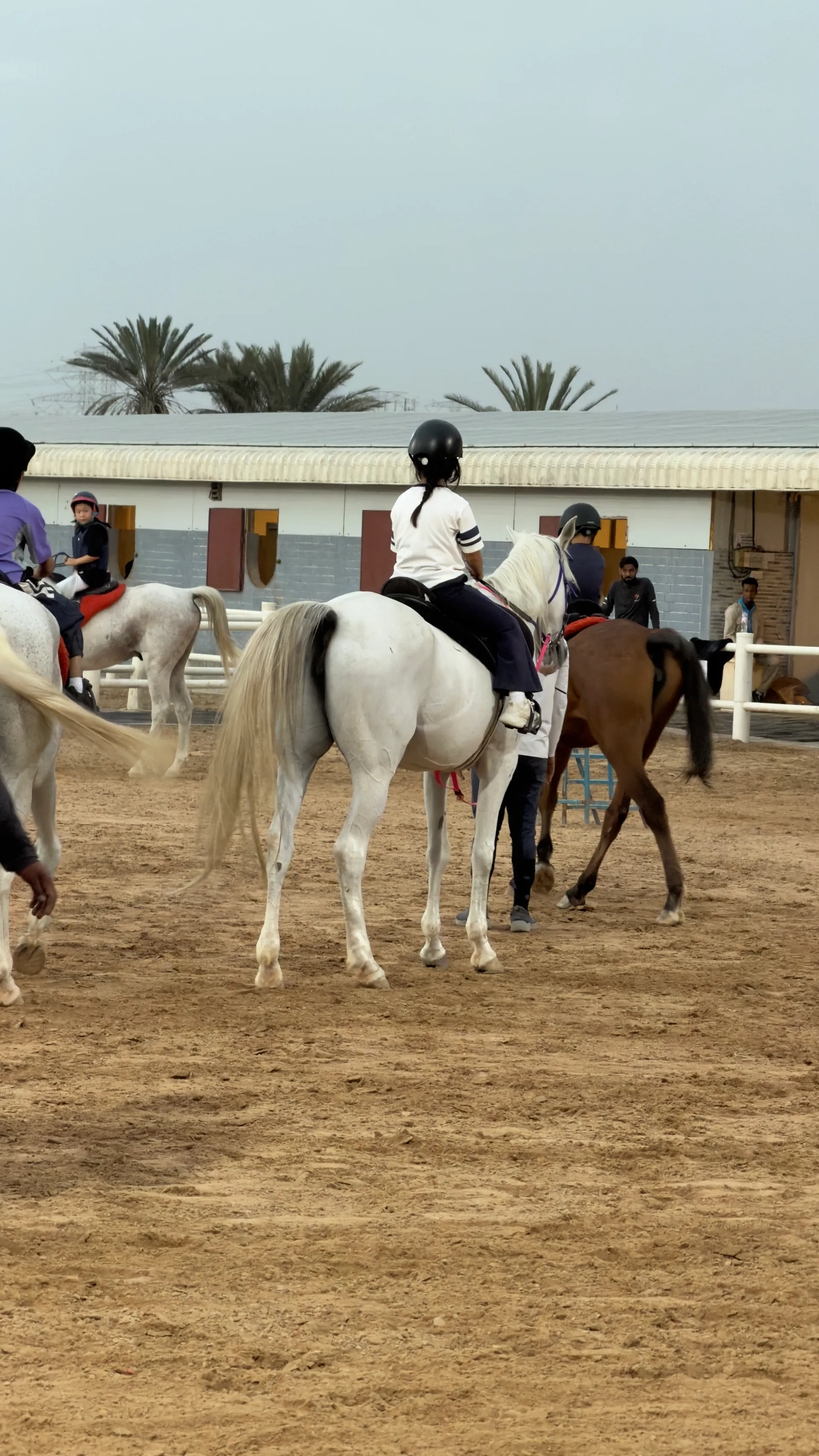 Arena riding practice