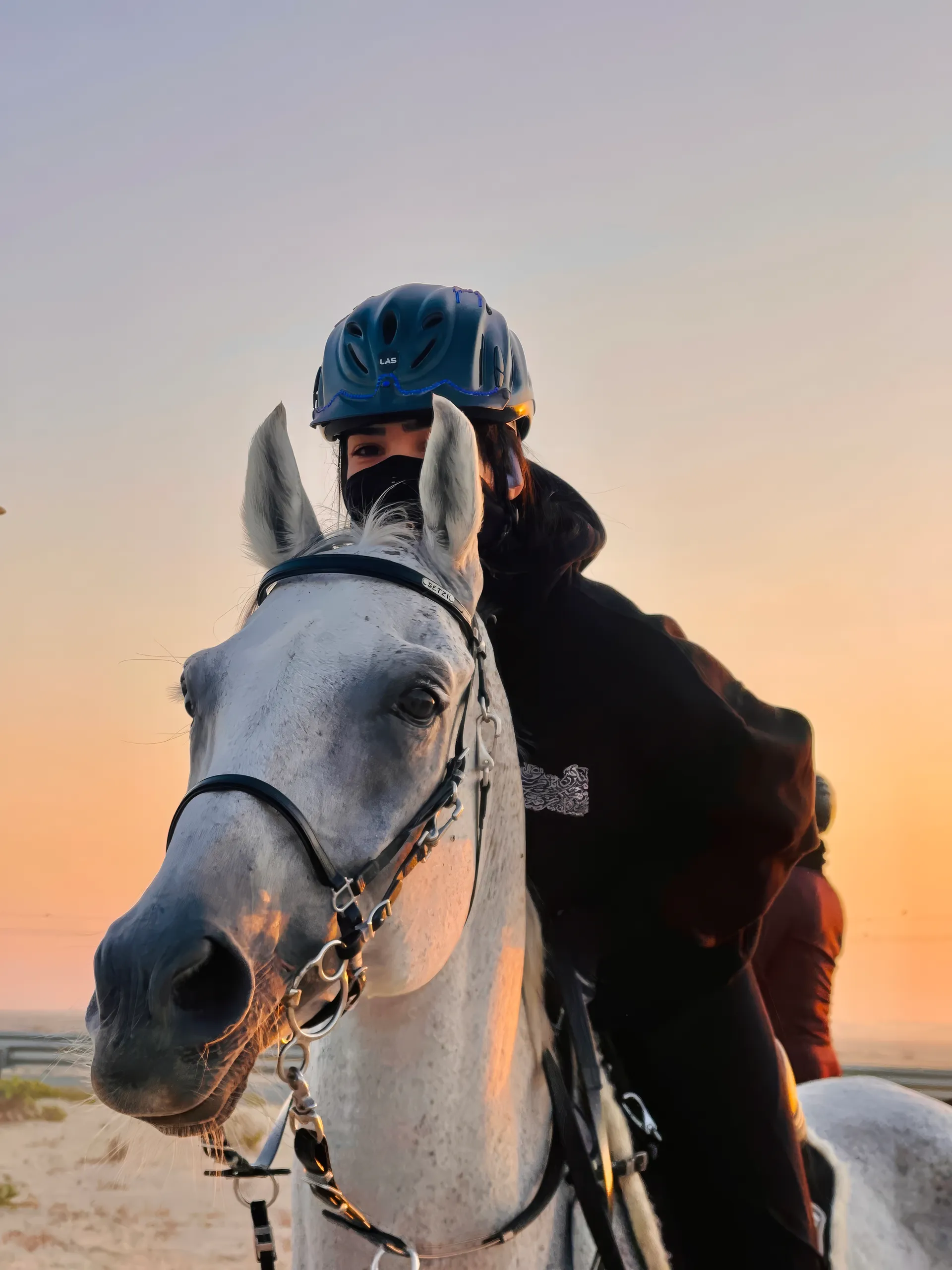 Rider and horse at sunset