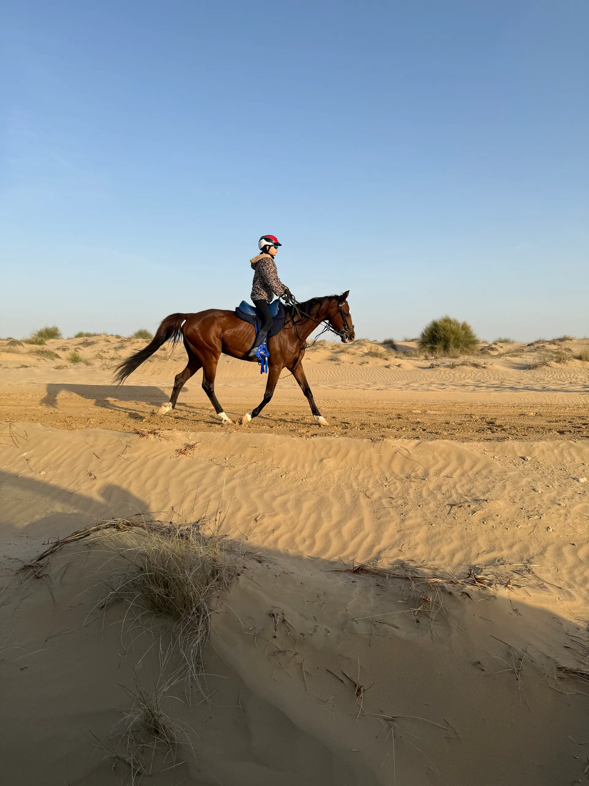 Desert ride through the dunes