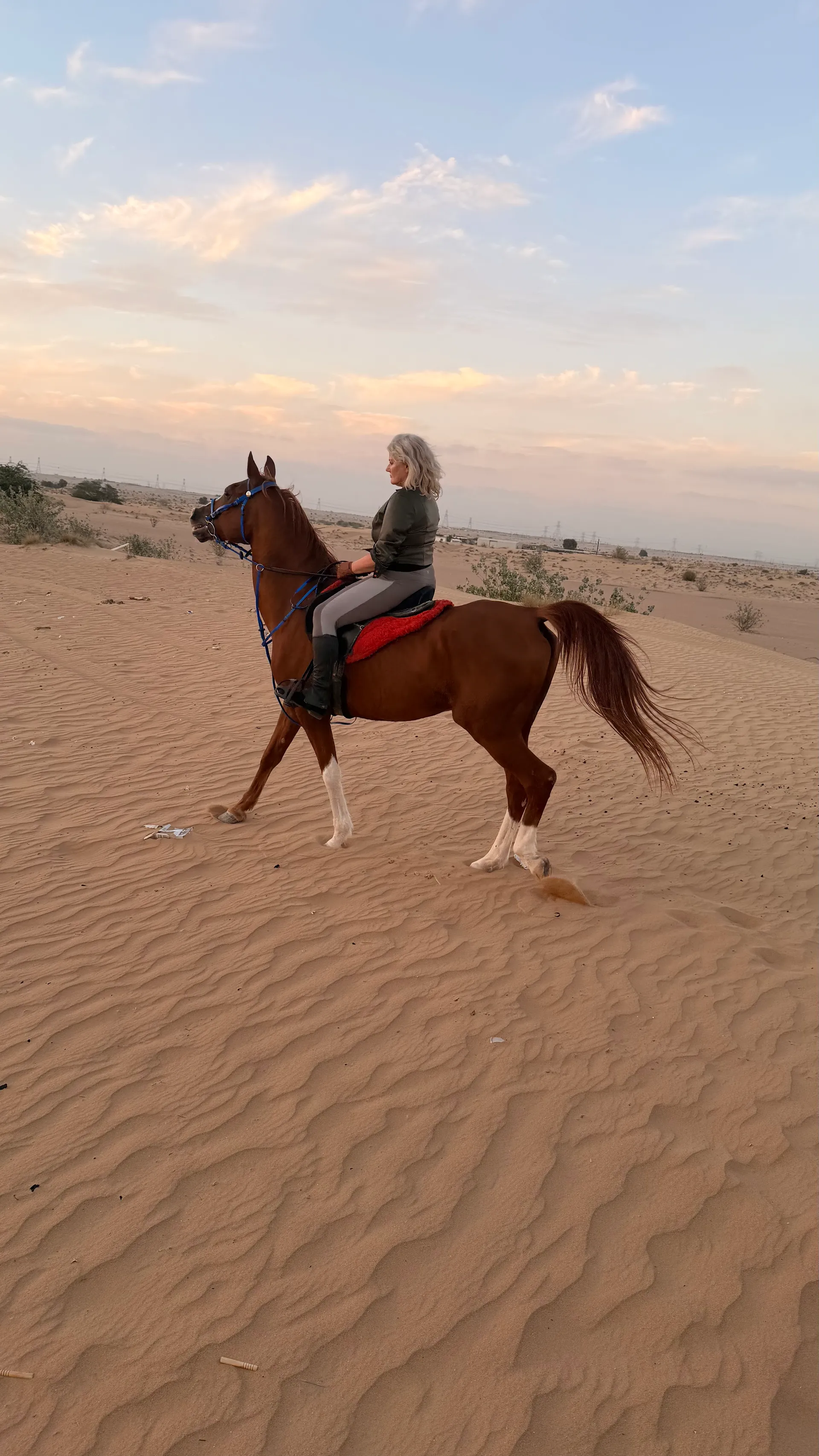 Rider on desert dunes at sunset