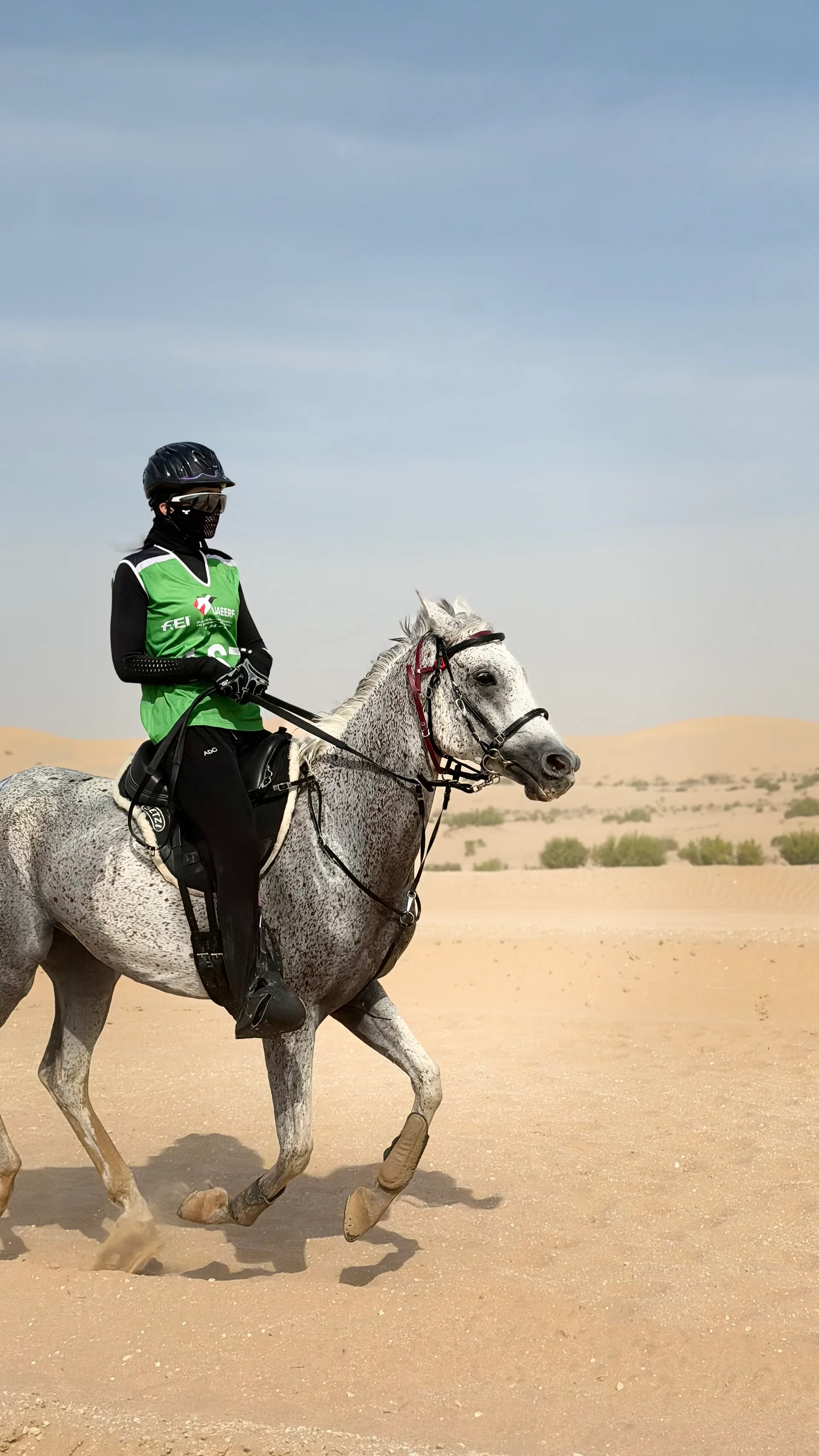 Endurance ride through desert dunes