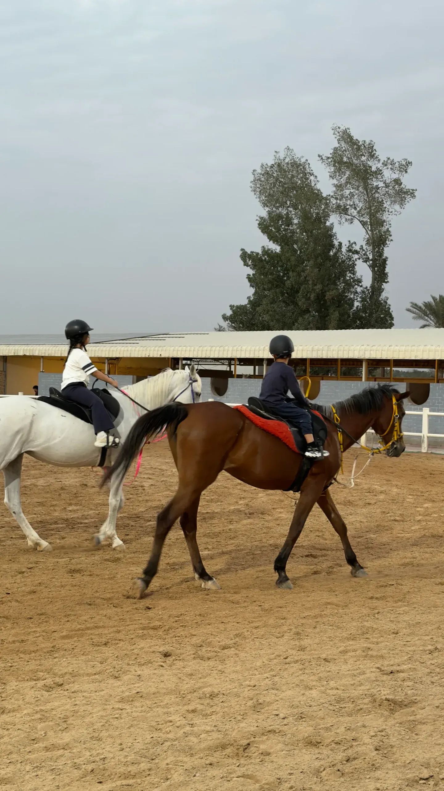 Arena jump training