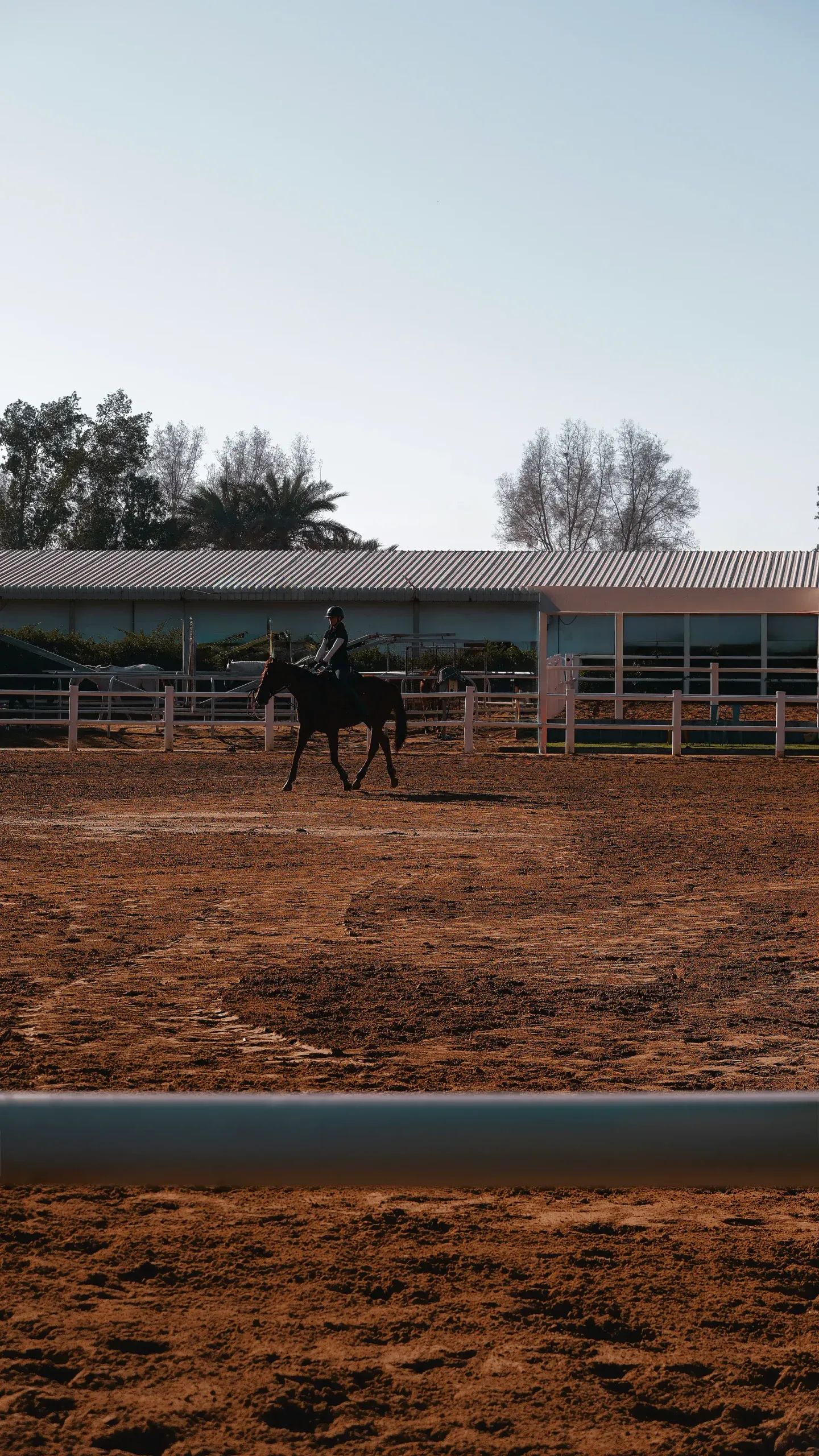 Arena training at JSR