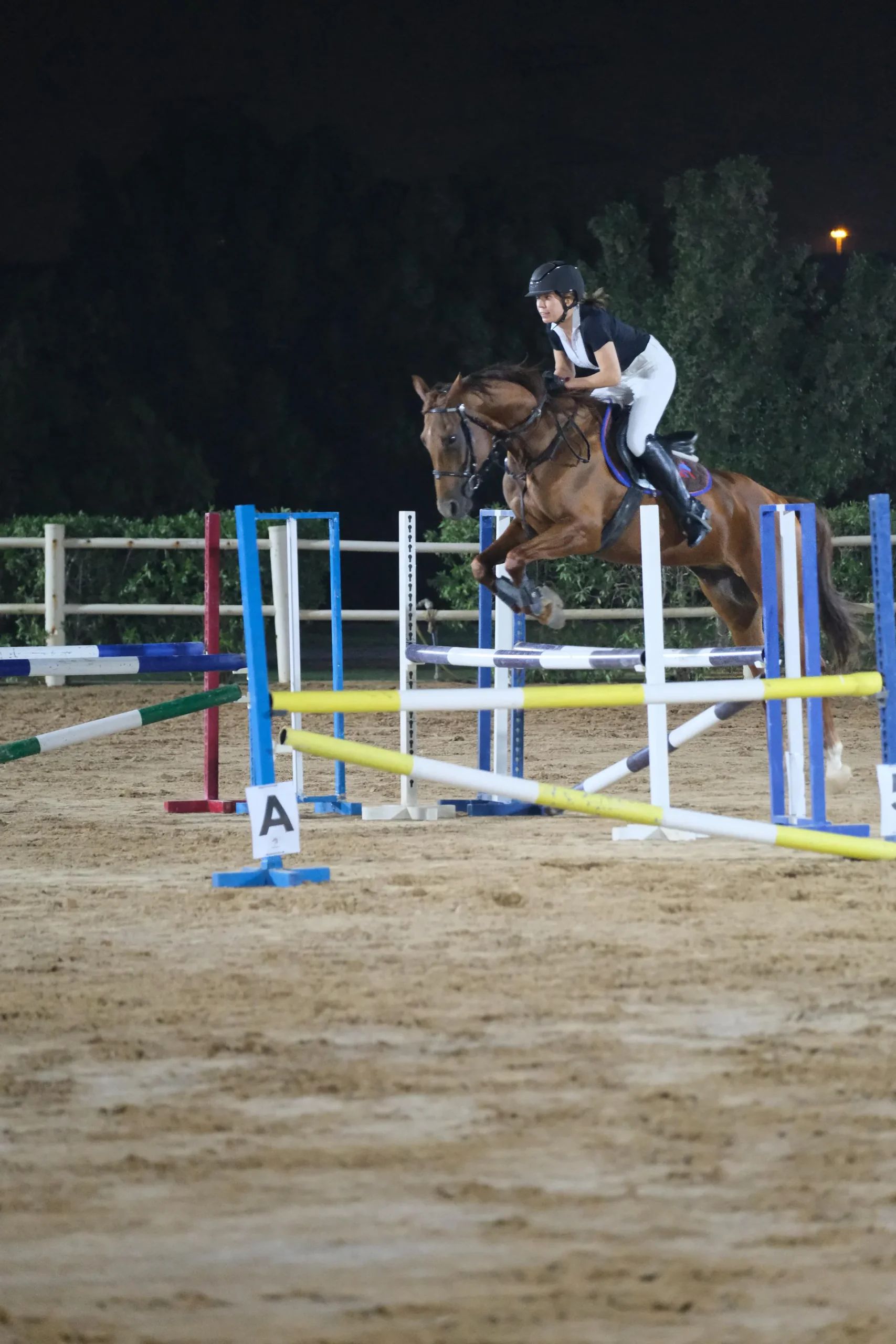 Group lesson in the arena