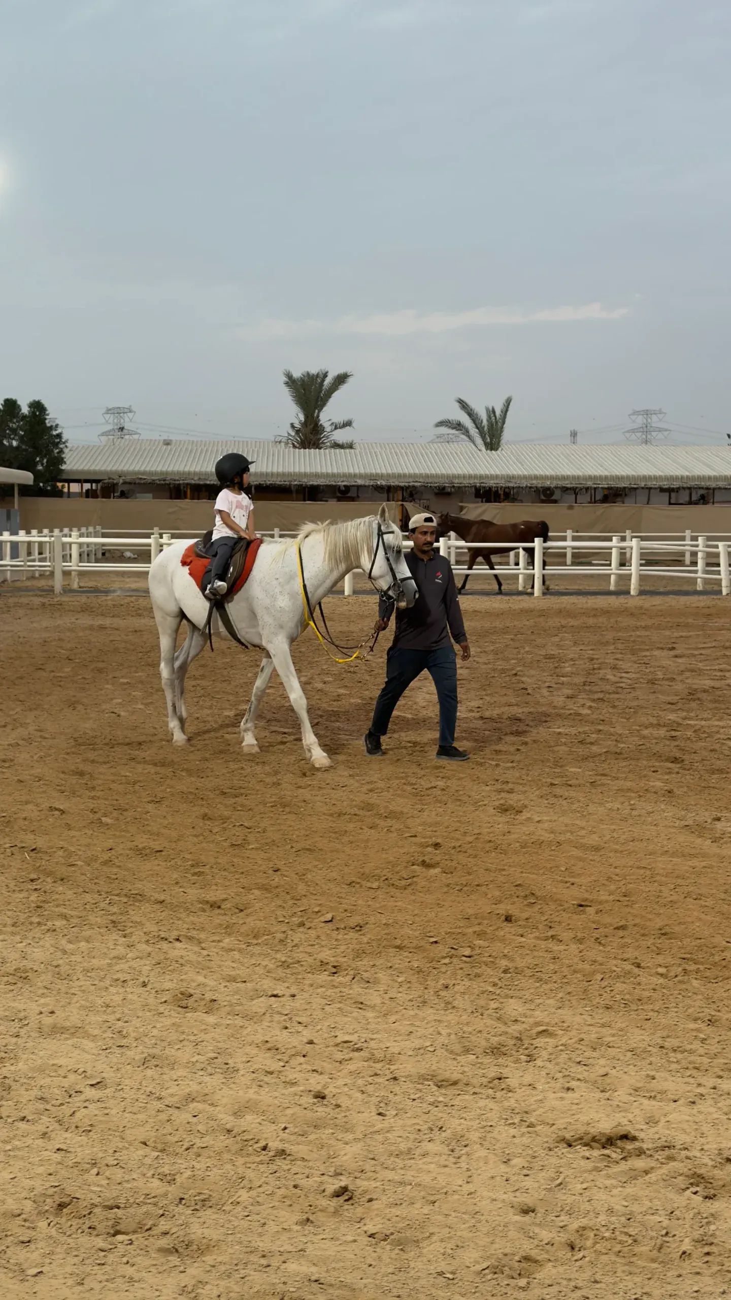 Rider in the arena