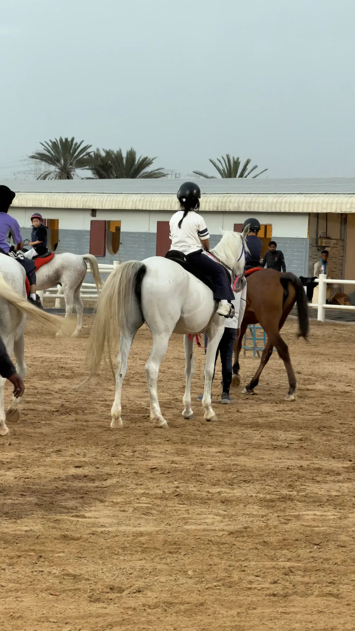 Arena riding practice