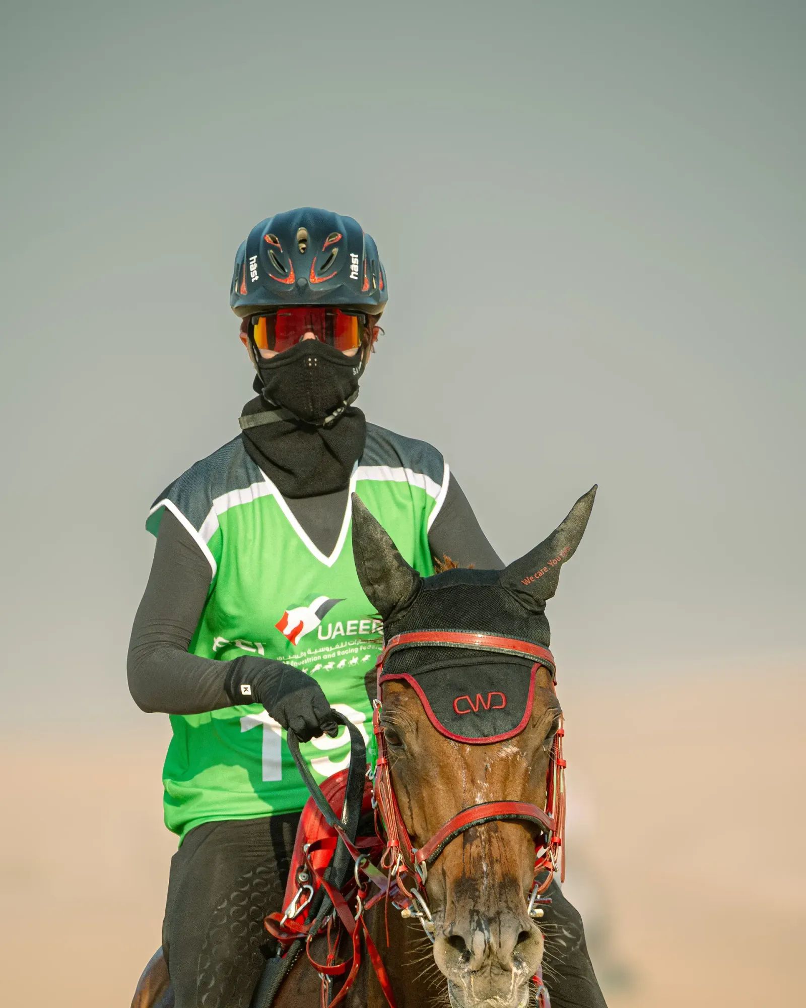 Endurance rider in Al Marmoom